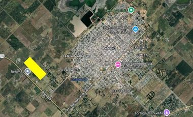 Chacra de 12 has en Pehuajó