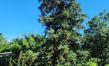 Casa en venta en Barrio el Puma Candelaria