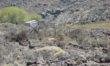 Ruta 23 500 - Comallo - Río Negro