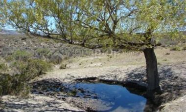 Ruta 23 500 - Comallo - Río Negro