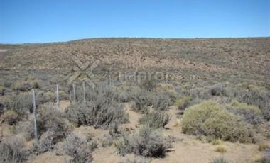 Ruta 23 500 - Comallo - Río Negro