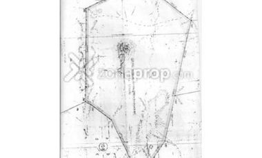 Ruta 23 500 - Comallo - Río Negro