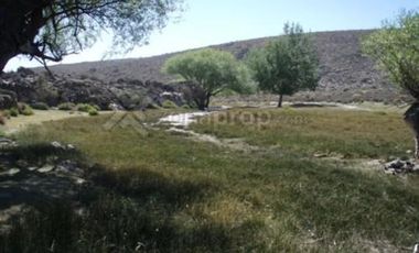 Ruta 23 500 - Comallo - Río Negro