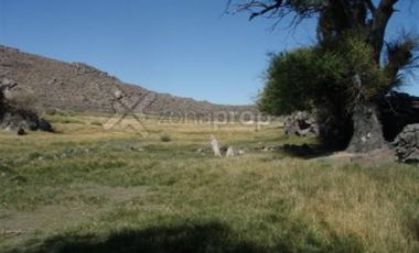 Ruta 23 500 - Comallo - Río Negro