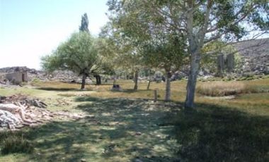 Ruta 23 500 - Comallo - Río Negro