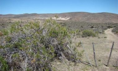 Ruta 23 500 - Comallo - Río Negro
