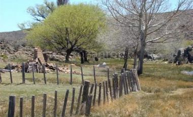 Ruta 23 500 - Comallo - Río Negro