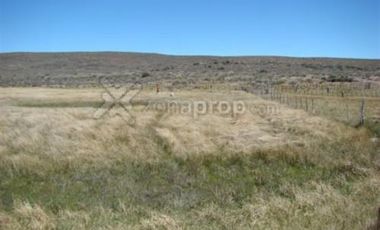 Ruta 23 500 - Comallo - Río Negro