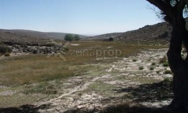 Ruta 23 500 - Comallo - Río Negro