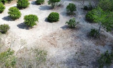 Quinta con Cenote en Tekat de 5.6 Hectareas