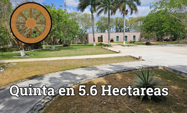 Quinta con Cenote en Tekat de 5.6 Hectareas