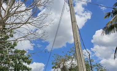 Quinta con Cenote en Tekat de 5.6 Hectareas
