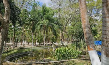 Quinta con Cenote en Tekat de 5.6 Hectareas