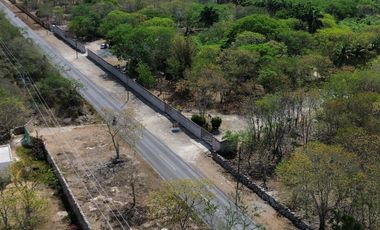 Quinta con 5.6 Hectareas y Cenote en Tekat