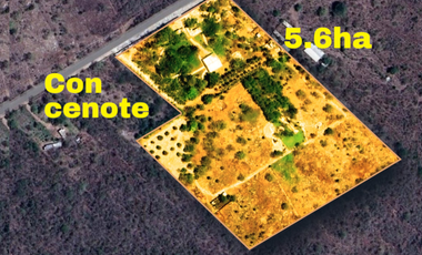 Quinta con 5.6 Hectareas y Cenote en Tekat