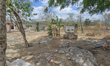 Quinta con 5.6 Hectareas y Cenote en Tekat