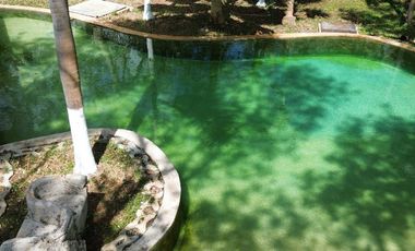 Quinta con 5.6 Hectareas y Cenote en Tekat