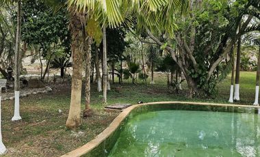 Quinta con 5.6 Hectareas y Cenote en Tekat