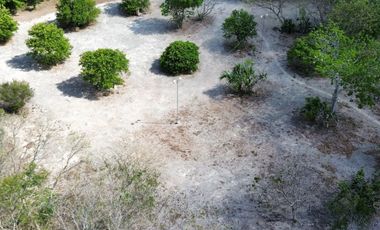 Quinta con 5.6 Hectareas y Cenote en Tekat