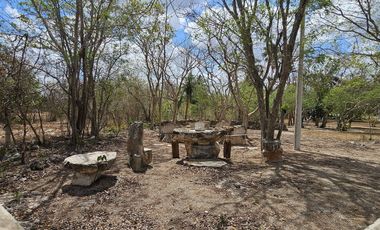 Quinta con 5.6 Hectareas y Cenote en Tekat