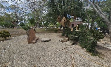 Quinta con 5.6 Hectareas y Cenote en Tekat