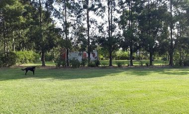 Fracción y casa en Venta Gorina