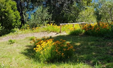 Venta Cabaña 2 Dorm en Costa del lago, Villa Pehuenia (La Peninsula)