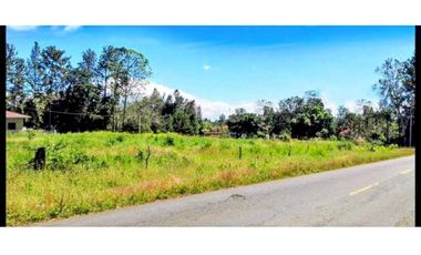 Local Comercial venta en Dolega