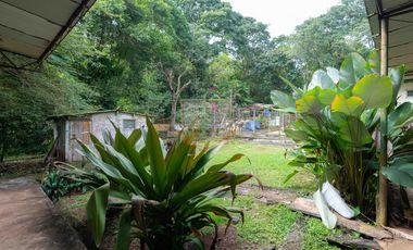 Copia de venta en chorrera de Terreno con galera k.t