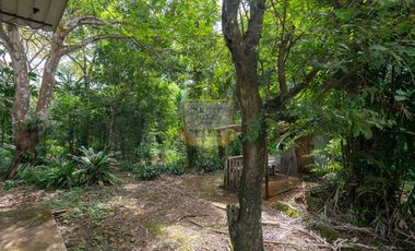 Copia de venta en chorrera de Terreno con galera k.t