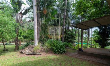 Copia de venta en chorrera de Terreno con galera k.t