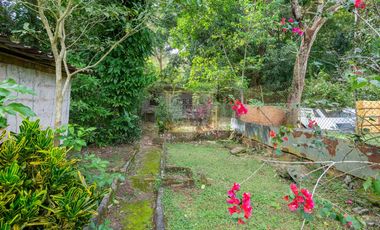 Copia de venta en chorrera de Terreno con galera k.t