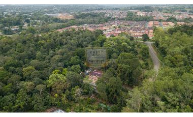 Copia de venta en chorrera de Terreno con galera k.t