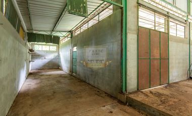 Copia de venta en chorrera de Terreno con galera k.t