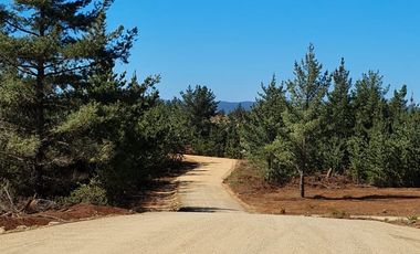 Remate  Parcelas En Pichilemu,  Bucalemu , Paredones.