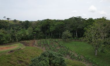 Se vende Finca en Viento Frío, Santa Isabel