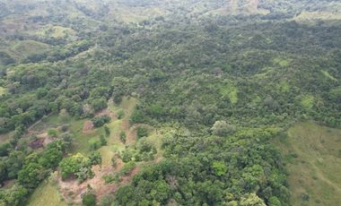 Se vende Finca en Viento Frío, Santa Isabel