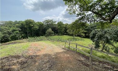 Se vende Finca en Viento Frío, Santa Isabel