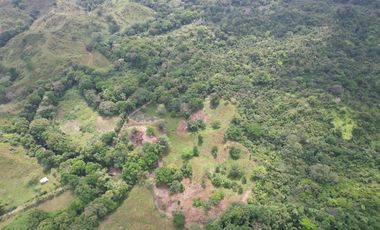 Se vende Finca en Viento Frío, Santa Isabel