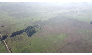 Campo de 52,6 has en venta cercano a plomer - Gral Las Heras
