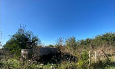 Campo de 52,6 has en venta cercano a plomer - Gral Las Heras