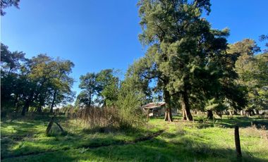 Campo de 52,6 has en venta cercano a plomer - Gral Las Heras