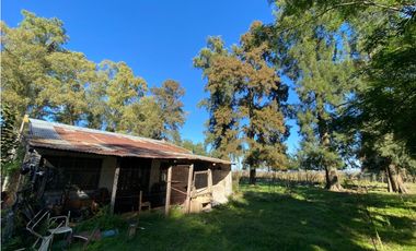 Campo de 52,6 has en venta cercano a plomer - Gral Las Heras