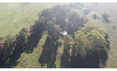 Campo de 52,6 has en venta cercano a plomer - Gral Las Heras