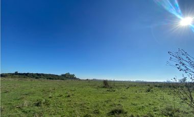 Campo de 52,6 has en venta cercano a plomer - Gral Las Heras