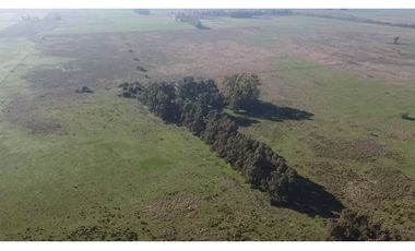 Campo de 52,6 has en venta cercano a plomer - Gral Las Heras