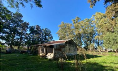 Campo de 52,6 has en venta cercano a plomer - Gral Las Heras