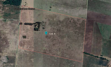 Campo de 52,6 has en venta cercano a plomer - Gral Las Heras