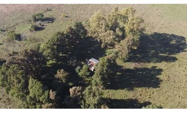 Campo de 52,6 has en venta cercano a plomer - Gral Las Heras