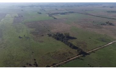 Campo de 52,6 has en venta cercano a plomer - Gral Las Heras